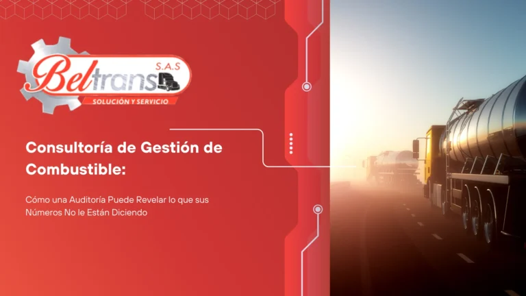Consultoría de Gestión de Combustible